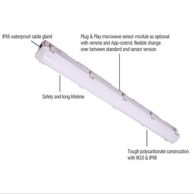 IP66 IK10 LED Vapeur Tight Light 2ft/4ft/5ft/8ft Industrial LED Tri Proof Light pour entrepôt