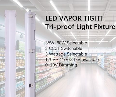 Lampes lumineuses à vapeur LED IP66 IK10 2 pieds / 4 pieds / 5 pieds / 8 pieds 120-277V / 120-347V Voltage d'entrée