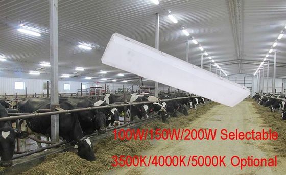 100W 3500K 4FT LED Vapor Tight High Bay IP67 avec diffuseur en polycarbonate transparent