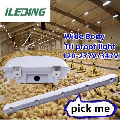 Solution d'éclairage d'entrepôt Lumière LED industrielle vapeur haute baie étroite emplacement humide 120-347V