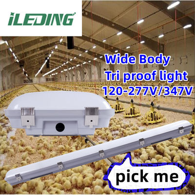 L'équipement est équipé d'un boîtier à gaz de silicium à LED, étanche à la vapeur, haute baie IP67 et imperméable à l'eau, 200 W pour entrepôt industriel.