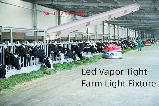 4FT Tri Proof LED luminaire 42W Lumière étanche à vapeur linéaire Pour le stockage des aliments Durable