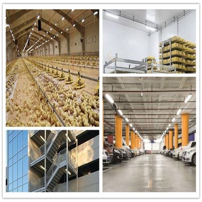 5000lm 36W 4FT Tri-Proof Shop Light 3500K/4000KK/5000K LED étanche à la vapeur pour le secteur industriel