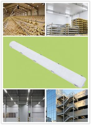 IP66 étanche à l'eau linéaire 65W d'entrepôt LED à vapeur Énergie lumineuse étroite pour la ferme laitière intérieure