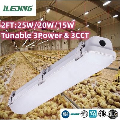 85 CRI LED Vapor Tight Garage Light Fixture Commutable 2FT Tri-proof Light pour l'atelier IP66 étanche