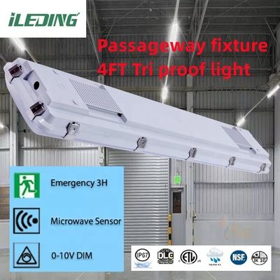 Surface montée 4FT 0-10V DIM Led Triproof Batten Light Fixture IP67 étanche à la vapeur pour le stockage 5-