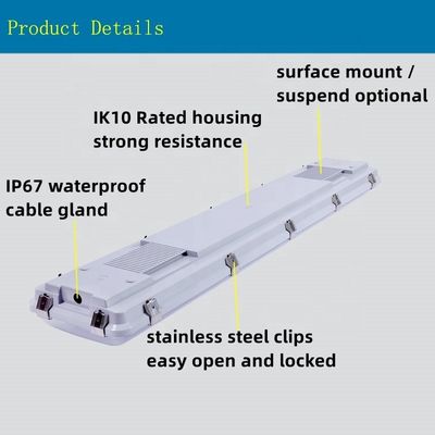 Surface montée 4FT 0-10V DIM Led Triproof Batten Light Fixture IP67 étanche à la vapeur pour le stockage 5-